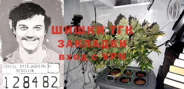мдпв Арсеньев