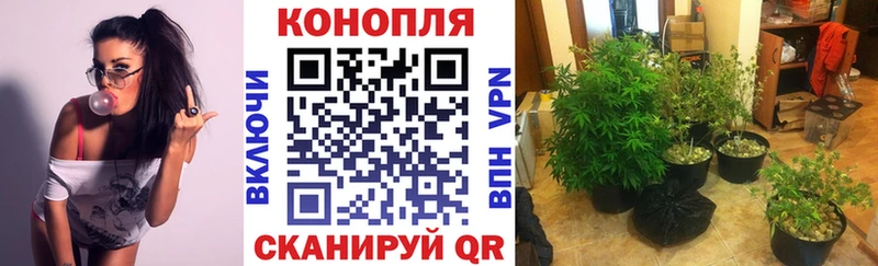 Марихуана VHQ  ОМГ ОМГ ссылка  Рассказово  цены  